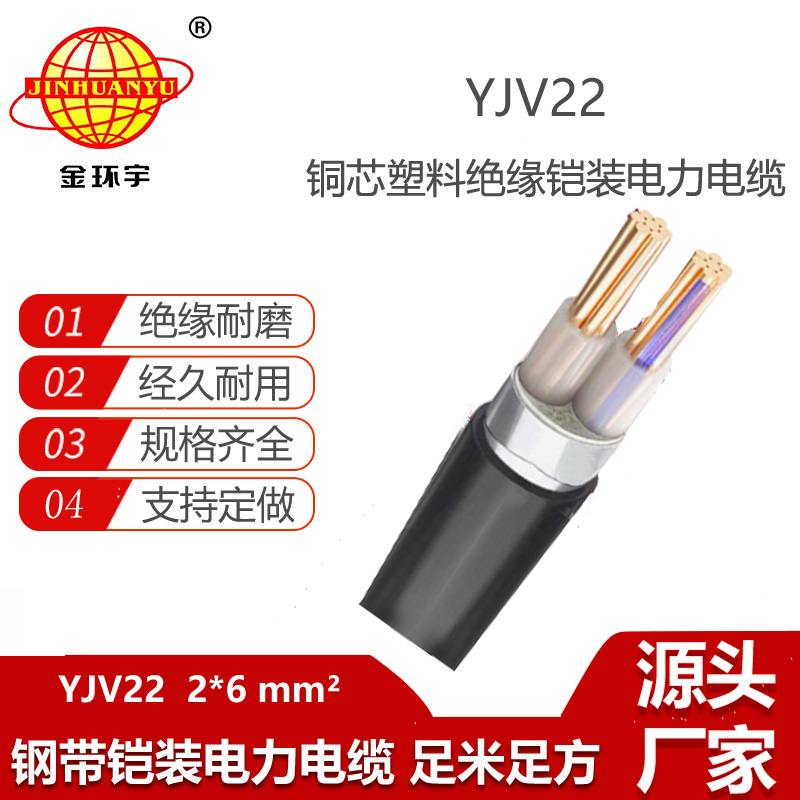 金環(huán)宇電纜 中低壓鎧裝電力電纜 2芯YJV22 2x6平方 銅芯